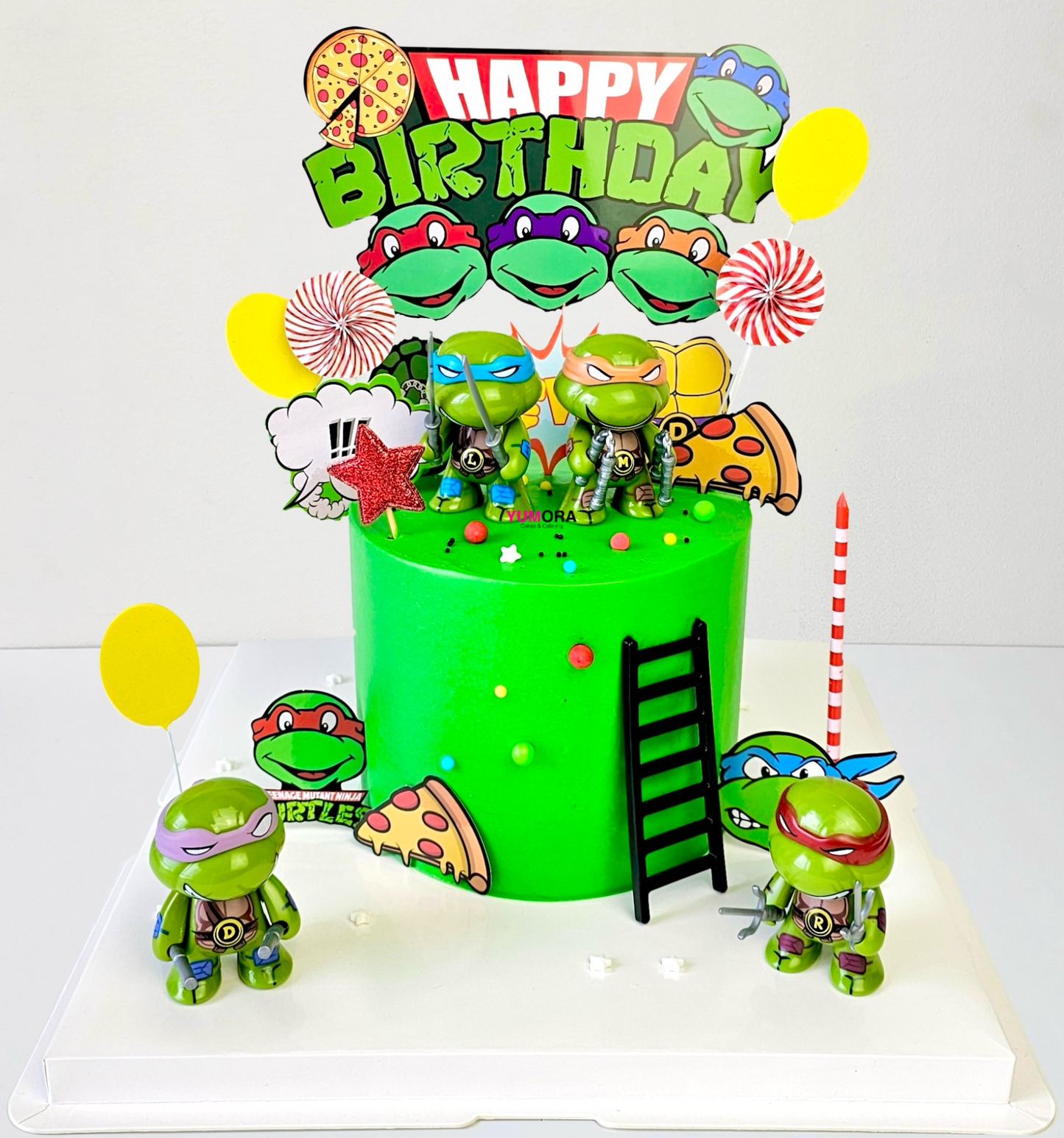 Tmnt cake, teenage mutant ninja turtles cake, kids cakes, best kids cakes, cakes online, kids party cakes, cakes for boys